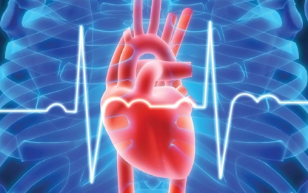 Η σχέση της Χρόνιας Νεφρικής Νόσου με τον καρδιαγγειακό κίνδυνο