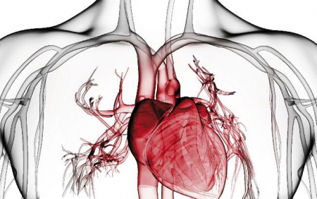 Καρδιακή ανεπάρκεια: Αντιμετώπιση με περιτοναϊκή κάθαρση.