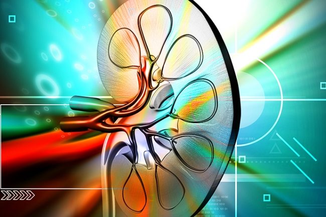 antioxeidotika dialysis living teyxos 47